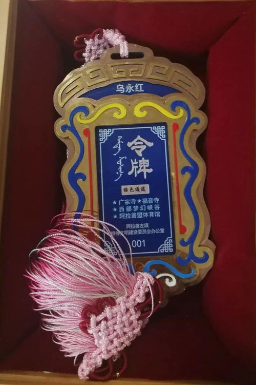 烏永紅老師獲阿左旗見(jiàn)義勇為模范獎(jiǎng)