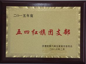 五家渠市政府 五家渠第三小學(xué)團(tuán)支部榮獲師市 五四紅旗團(tuán)委 稱(chēng)號(hào)