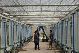 讓農業走向 智 學院教師實踐團隊調研金普新區無土栽培蔬菜工廠