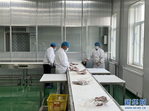 青海海南州 農(nóng)畜產(chǎn)品促振興，高原沃野展新顏