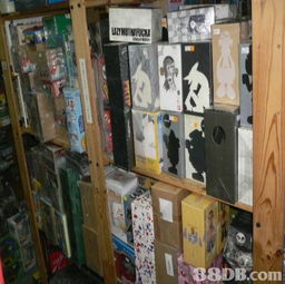 Toy Zone 16 一站式玩具交易平臺(tái)，寄賣(mài)服務(wù)引領(lǐng)收藏新潮流